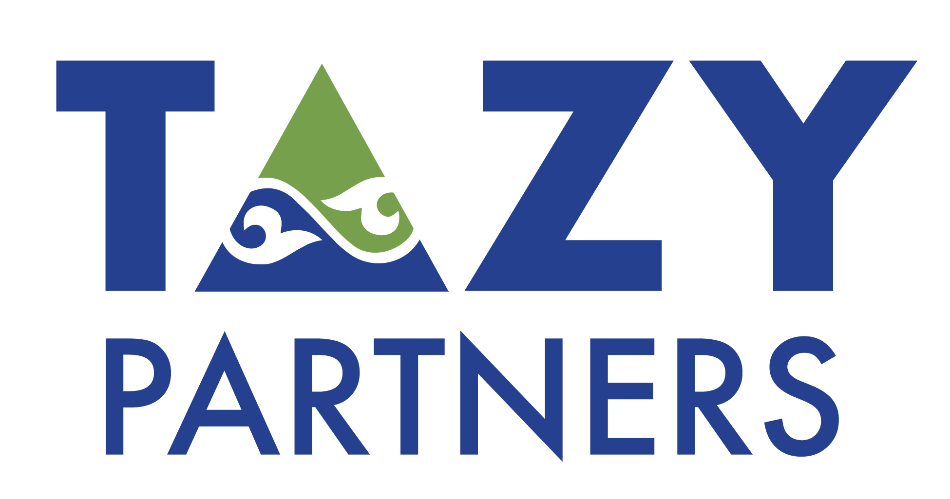 Tazy Partners